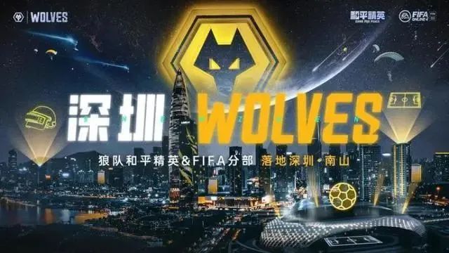 newzoo2017电竞报告_电竞不得不看的22份报告_电竞报告