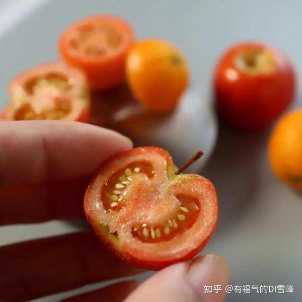 用粘土做美食视频_粘土做美食制作过程_用粘土做美食