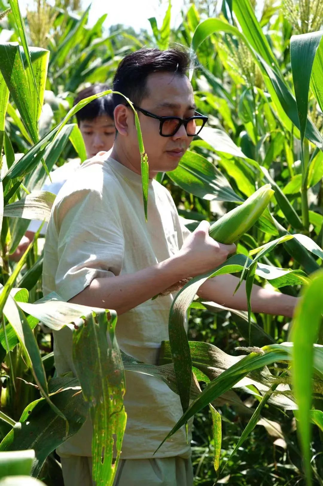 法式西餐的做法_法式西餐做法深圳_法式西餐完整菜单