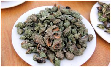 温州美食推荐_温州美食推荐文章800字_温州美食推荐卡