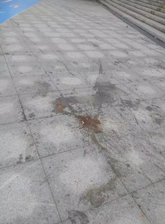 介绍江苏美食的节目_江苏过年美食_国际美食节江苏