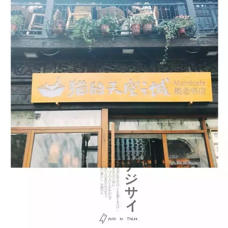 狗狗咖啡馆能挣钱不_深圳哪里有小狗咖啡馆_深圳狗狗咖啡馆