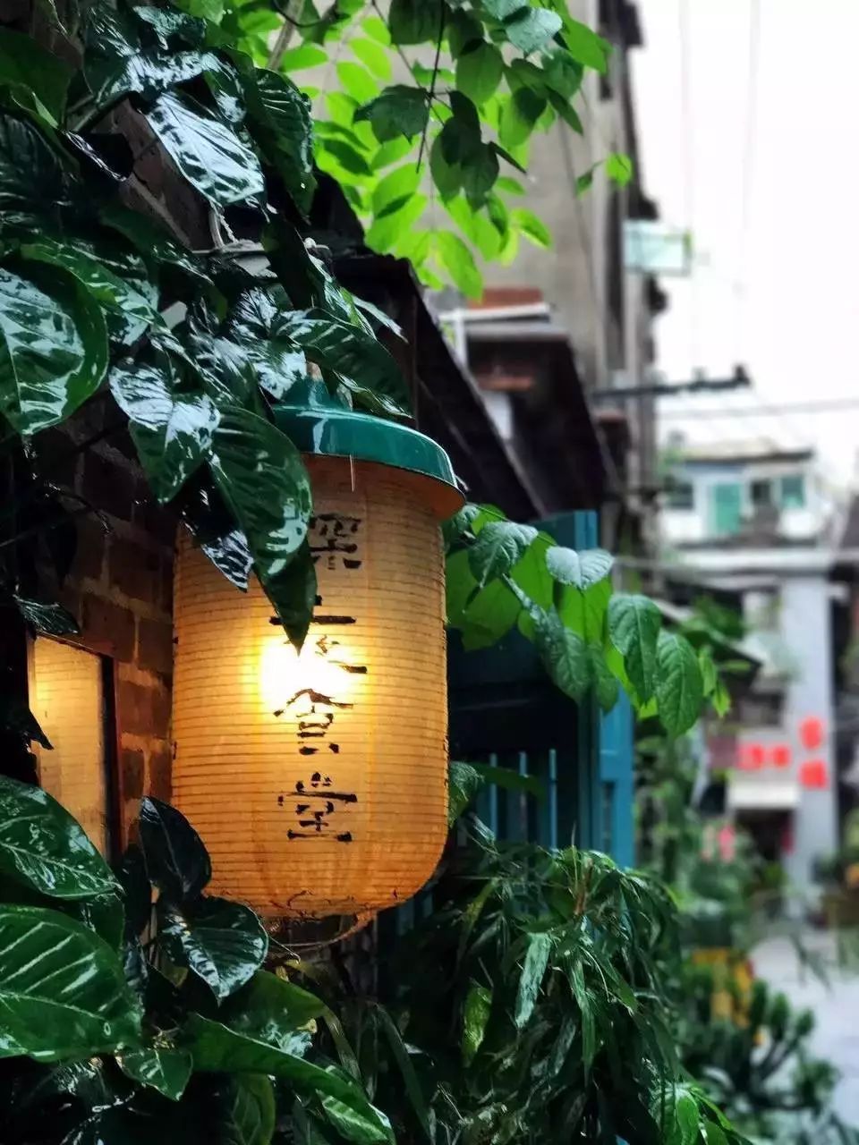 狗狗咖啡馆能挣钱不_深圳哪里有小狗咖啡馆_深圳狗狗咖啡馆