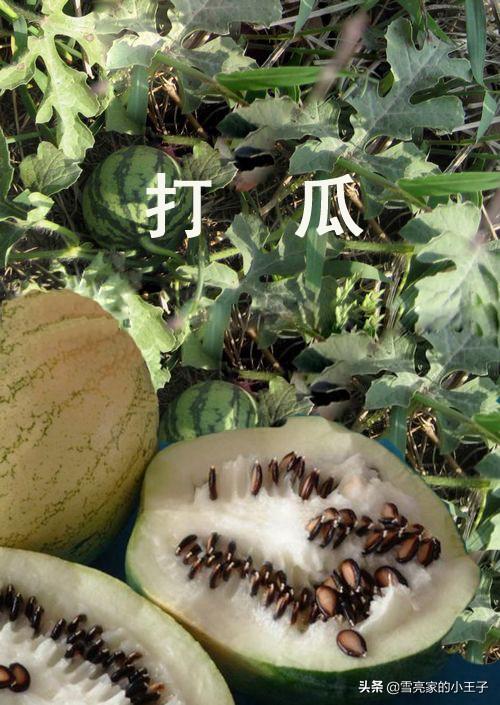 武清特色美食_天津武清特色食物_武清美食排名