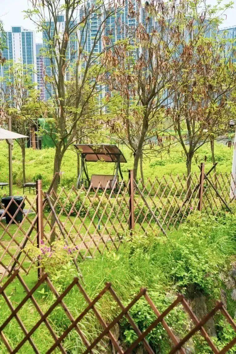 越秀国际总部附近美食_广州越秀国际总部_广州越秀国际总部广场怎么样