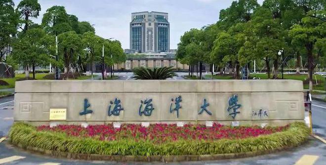 复旦大学周边小吃_复旦大学美食一条街还在吗_复旦大学周边美食