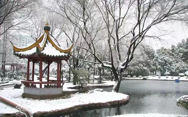 复旦大学美食一条街还在吗_复旦大学周边美食_复旦大学周边小吃