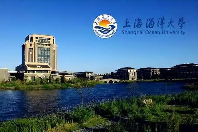 复旦大学周边美食_复旦大学周边小吃_复旦大学美食一条街还在吗